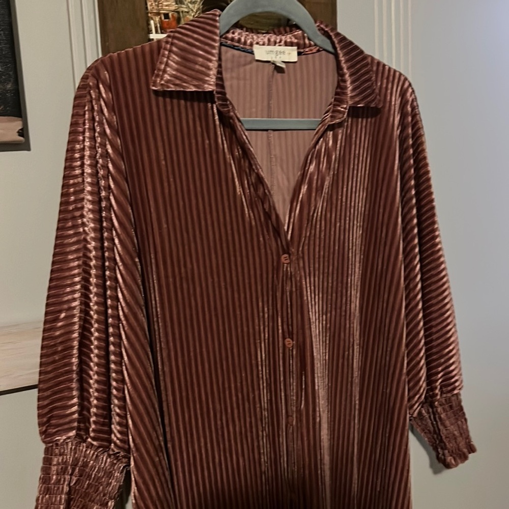 Umgee Velvet Dress